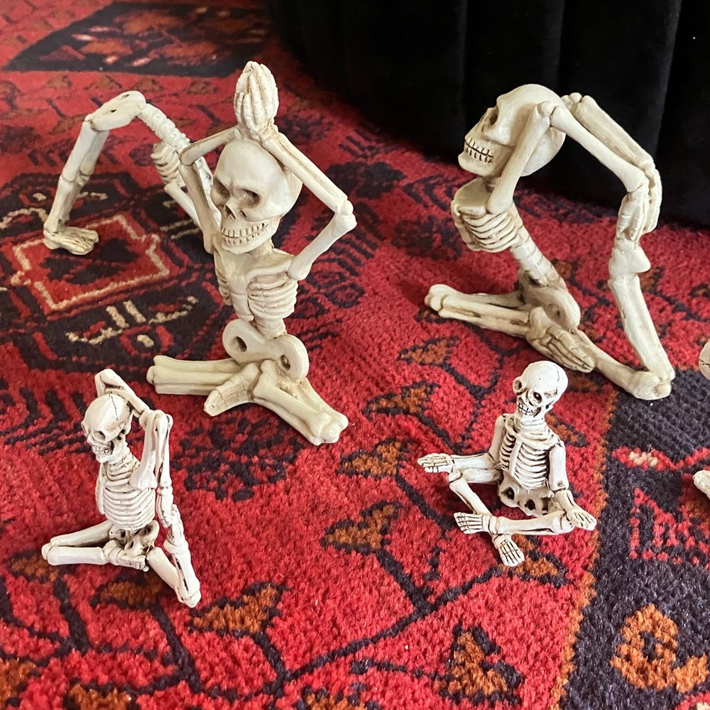 Skeletons doing yoga! - Picture 2 of 4